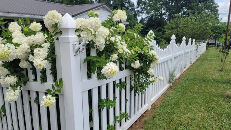 Those people who hang over the fence and why I want to be like them