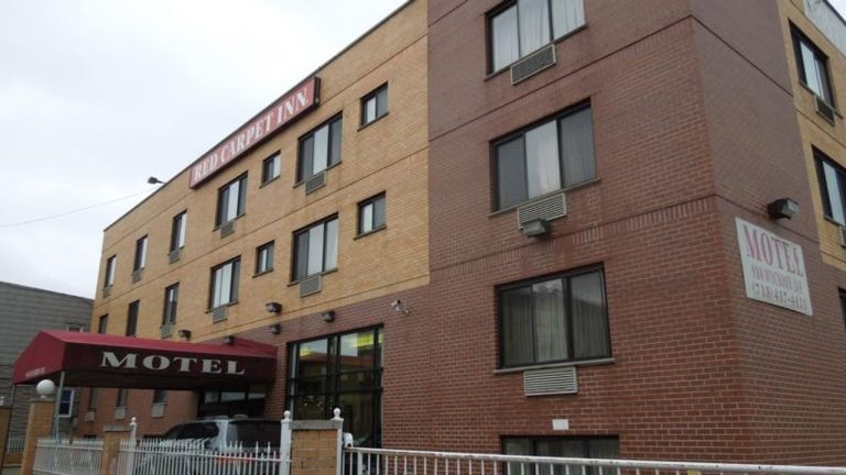 The glamorous life of a writer: Part 1: The Red Carpet